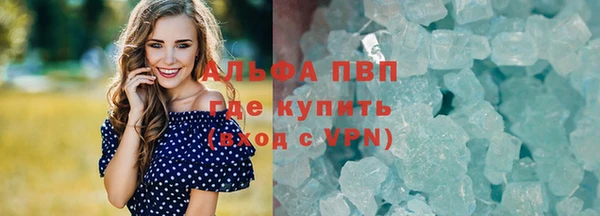 твердый Грязовец