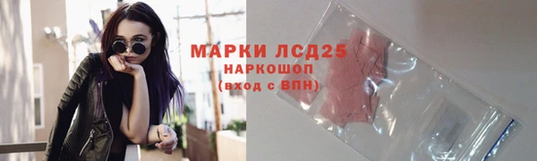 сатива Галич