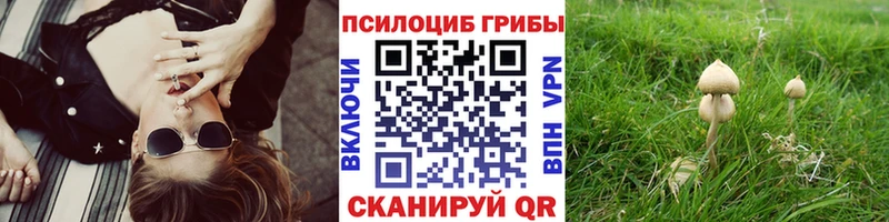 Псилоцибиновые грибы GOLDEN TEACHER площадка как зайти Орехово-Зуево